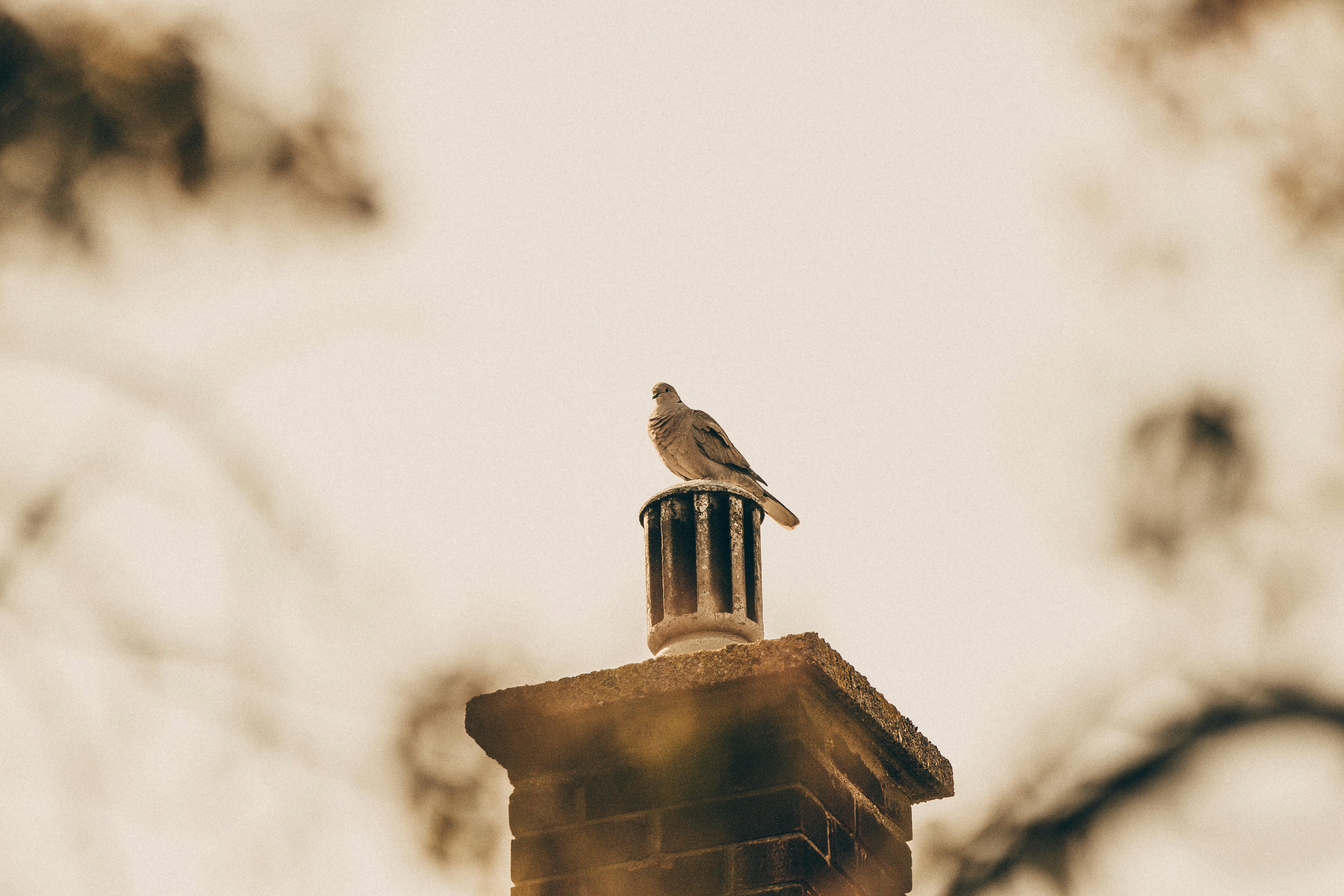 Expert Chimney Cap Installation in Hudson, Massachusetts